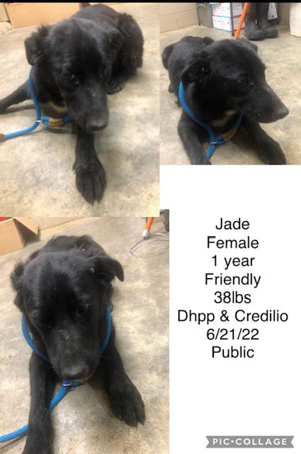 Jade
