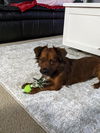 Winston