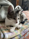 Leela