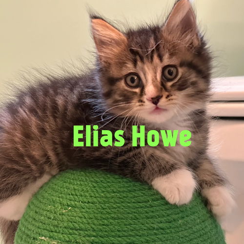 Elias Howe