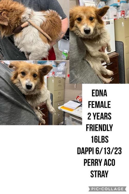 Edna