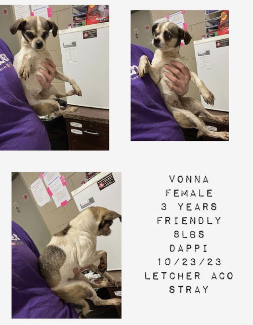 Vonna