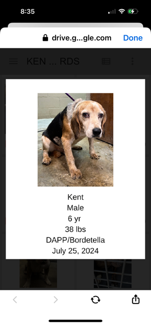 Kent