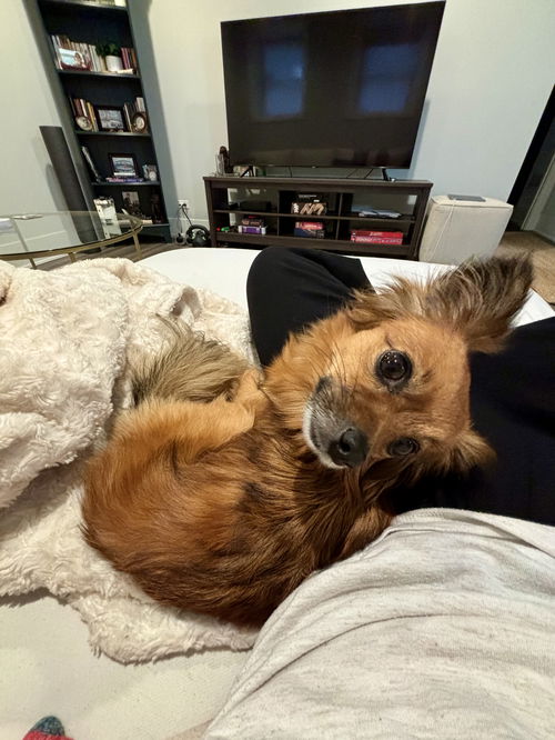 Ella
