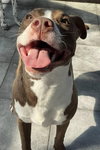 Bodie - Photo 1
