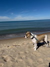 Albert - Photo 4