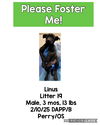 Linus