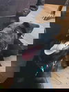 Ashton