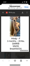 Mindy