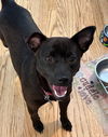 Roxie