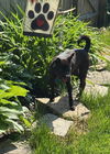 Roxie
