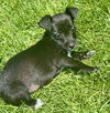 Onyx