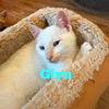 Giyu