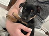 Ruthie
