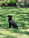 Oliver