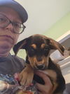 Waylon