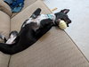 Mary - Photo 5
