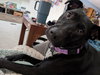 Mary - Photo 6