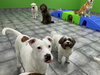 Dutton - Photo 4