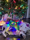 Happy - Photo 3