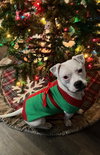 Happy - Photo 5