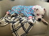 Happy - Photo 4