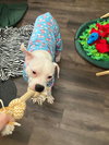 Happy - Photo 5