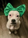 Happy - Photo 3