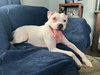 Happy - Photo 1