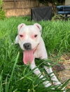 Happy - Photo 1
