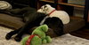 Lacey - Photo 3