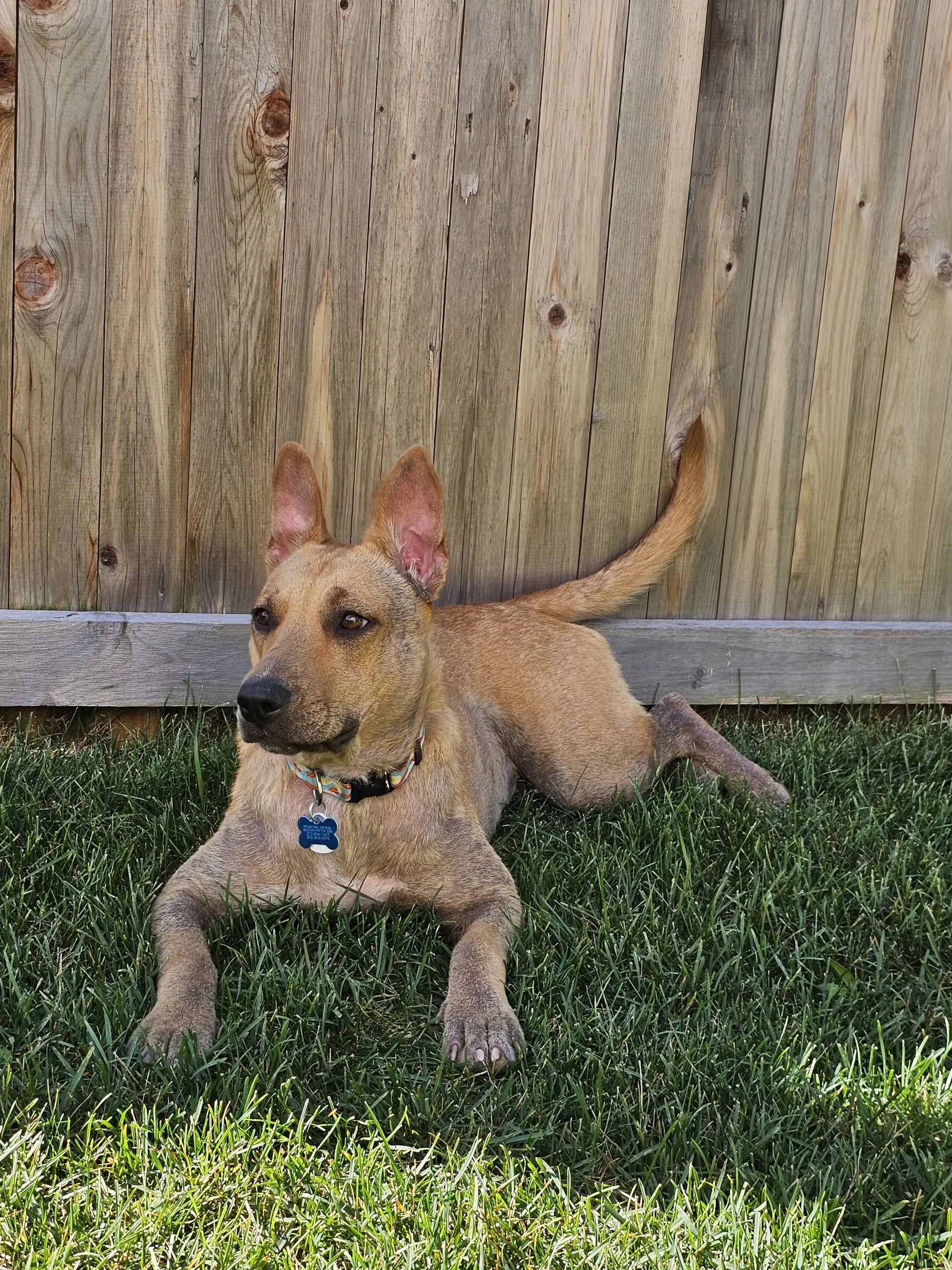 Ginny image 3