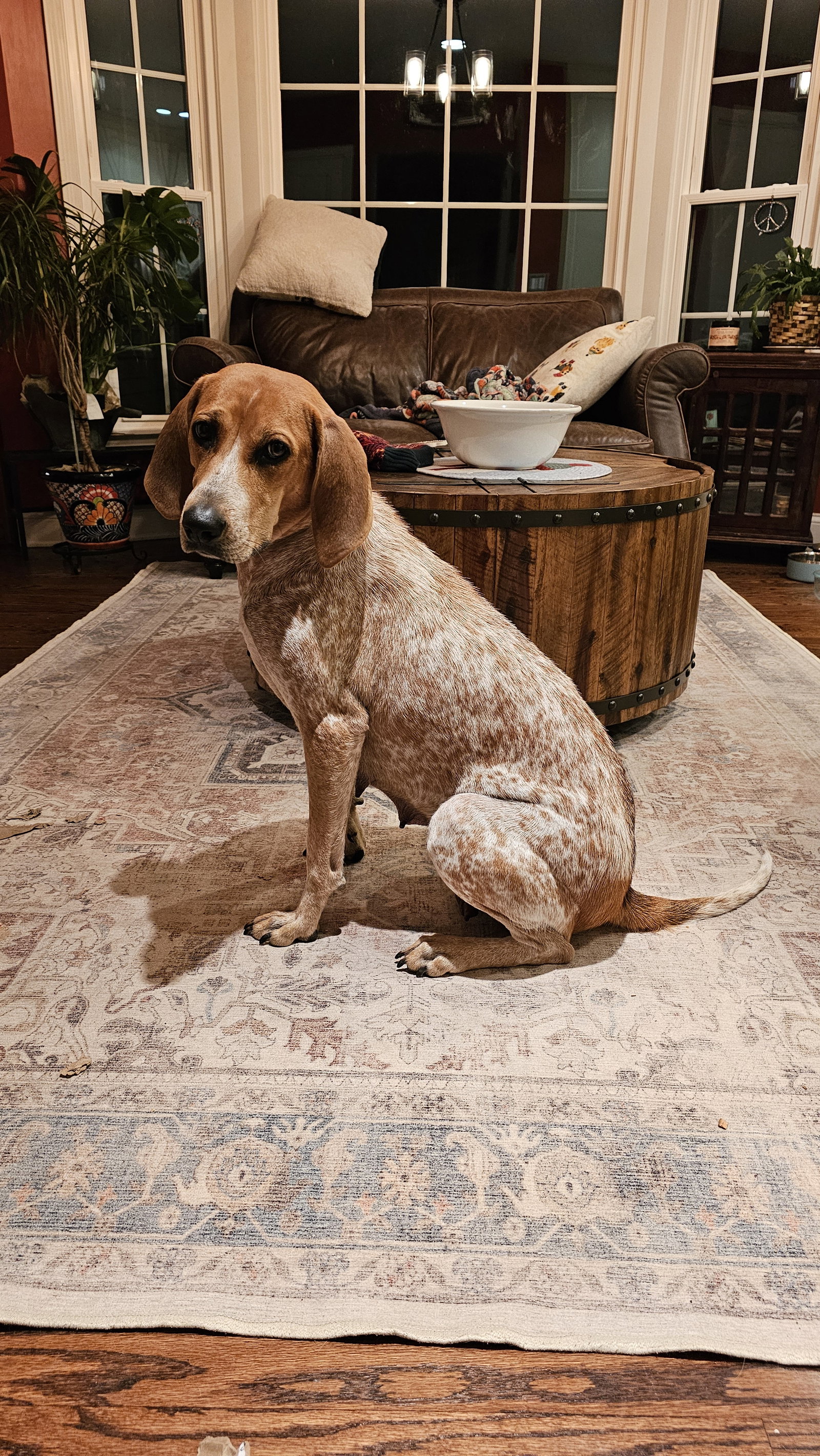 Rosie Image