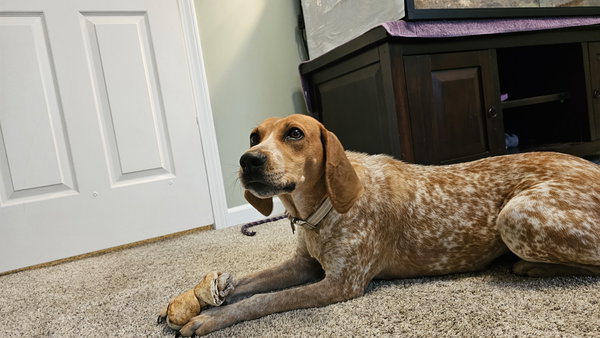 Rosie