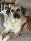 Misty - Photo 2