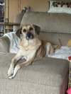 Misty - Photo 3