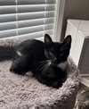 Stubbs - Photo 1