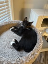 Stubbs - Photo 6