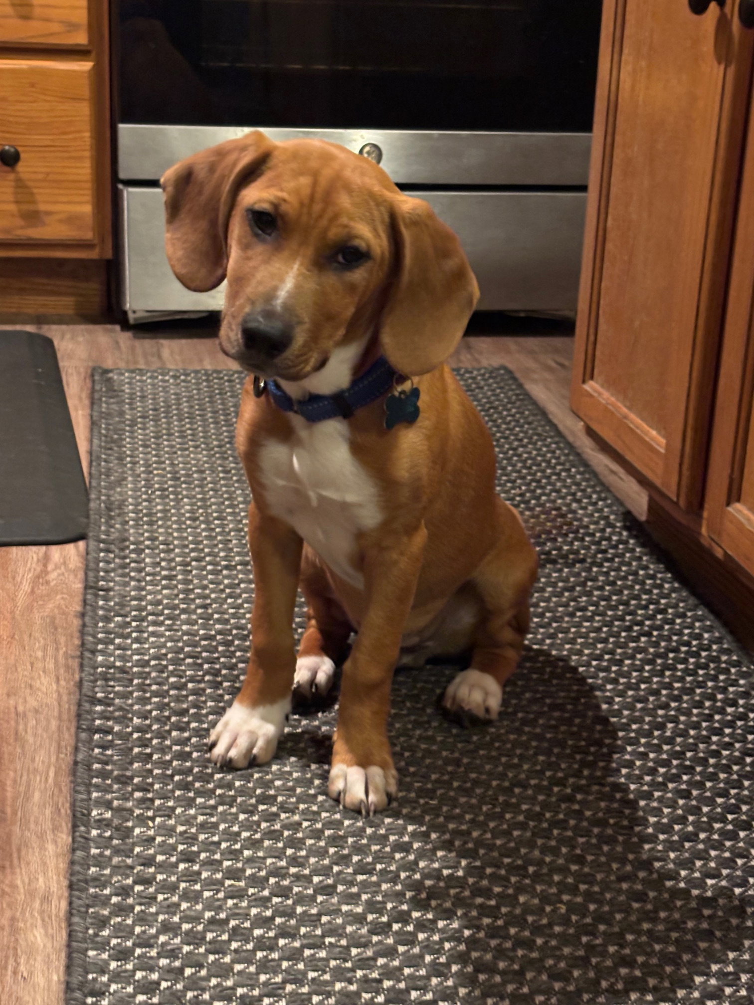 Max