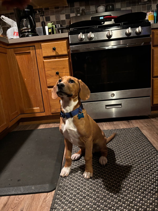 Max