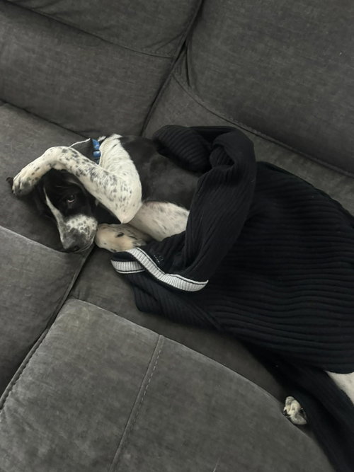 Domino photo 2