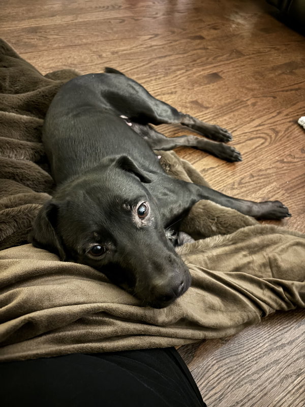 Luna