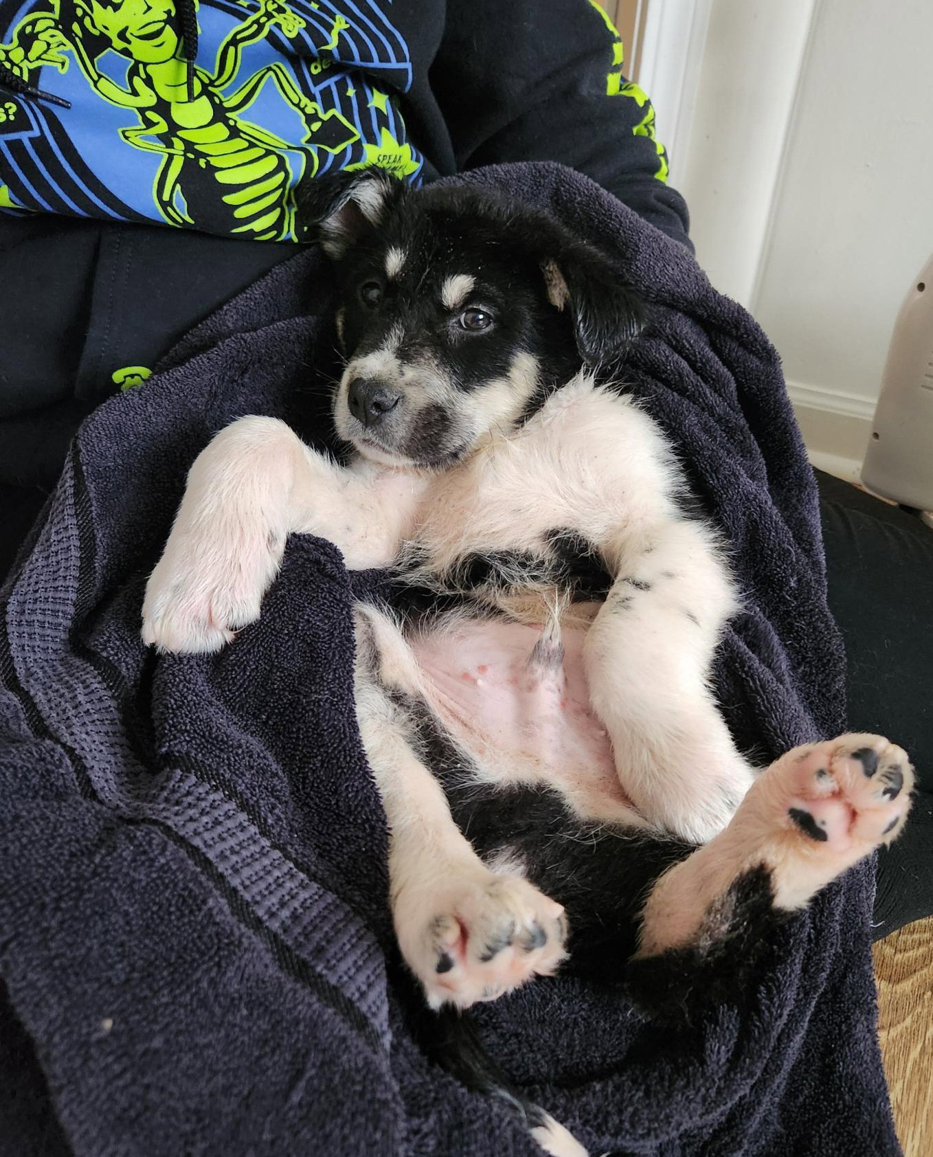 Koda Image