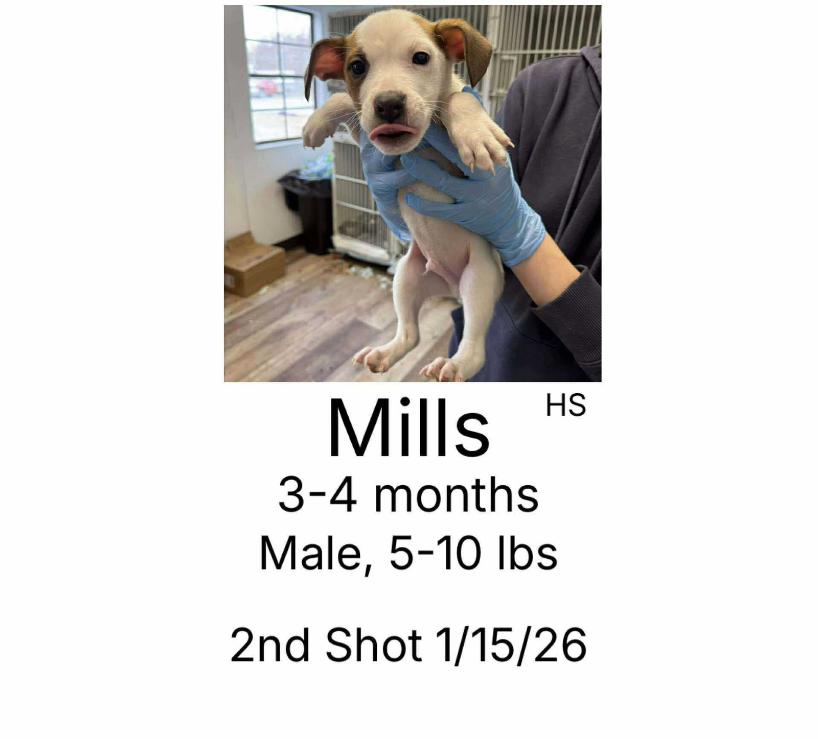 Mills Image