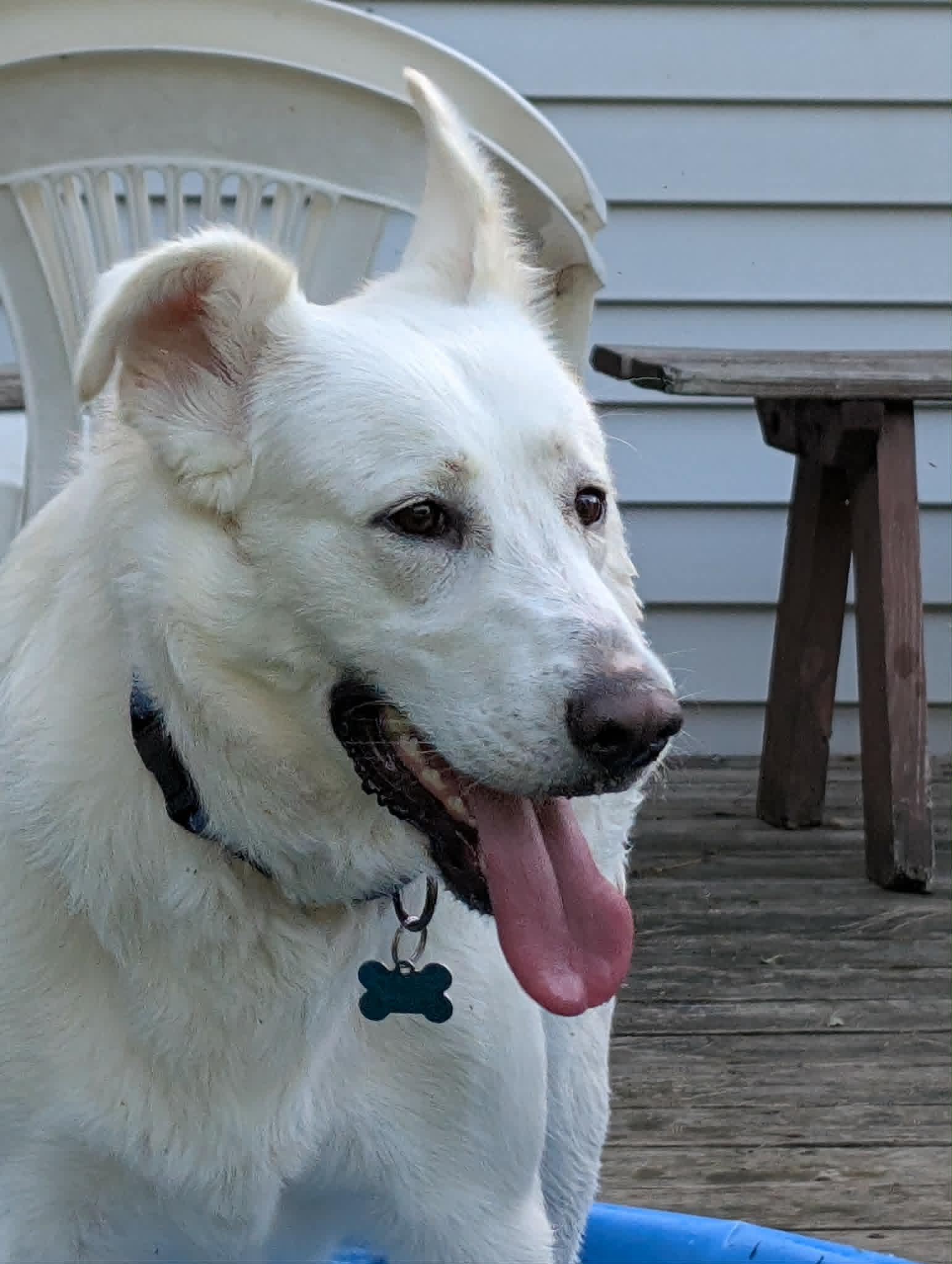 Winnie