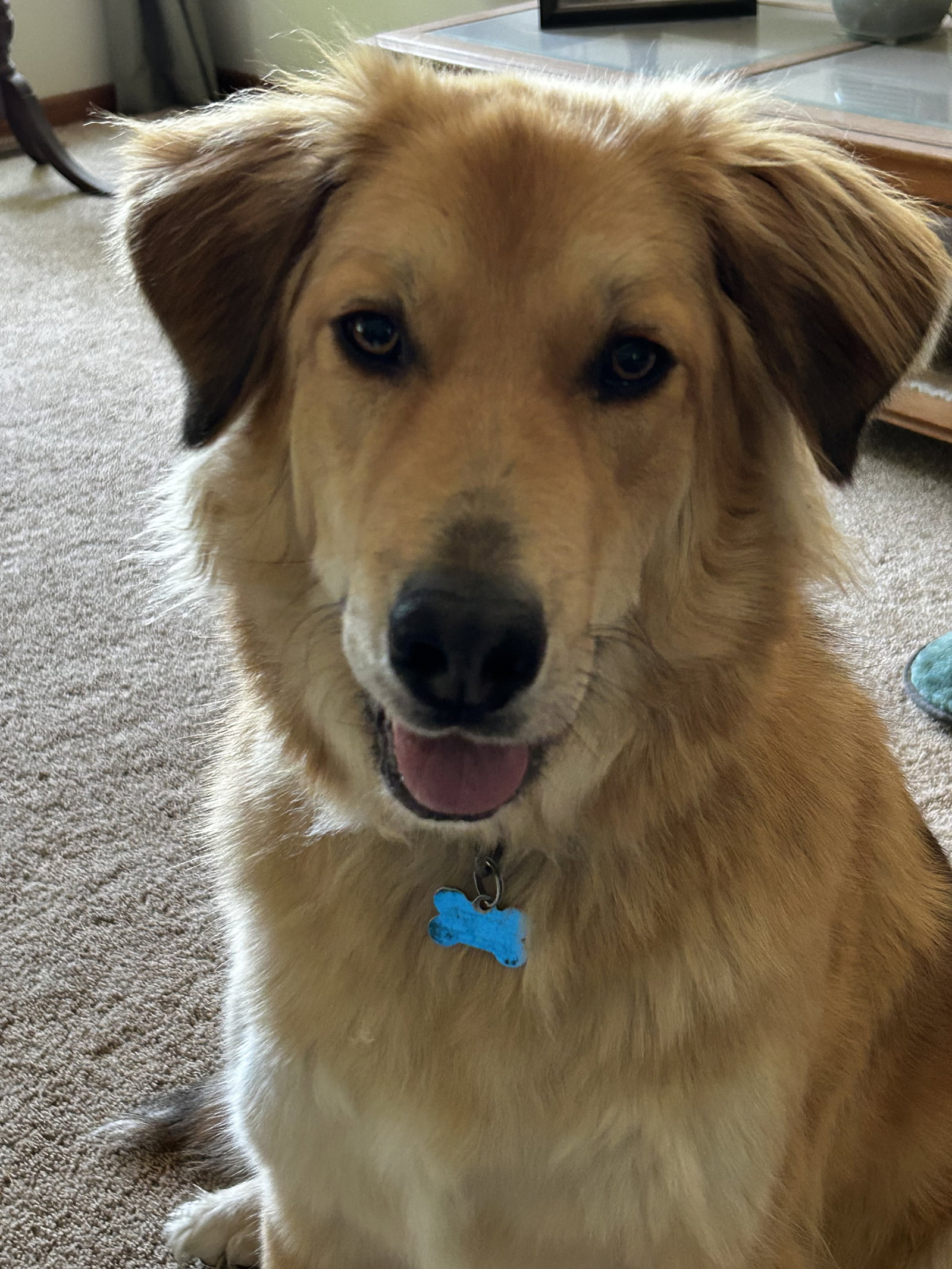 Rory Image