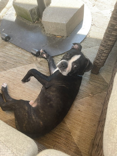 Buzz photo 3