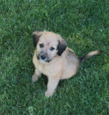 Remi photo 4