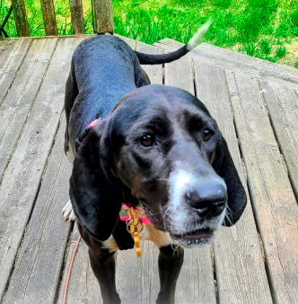 Matilda