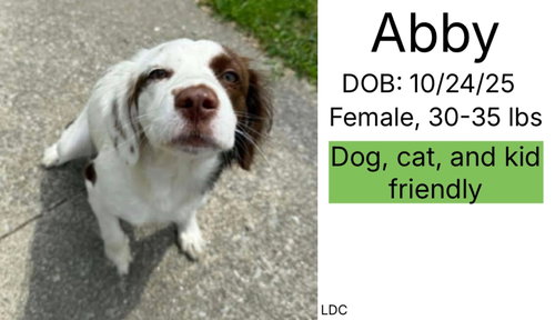 Abby